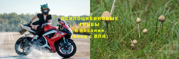 крисы Богданович